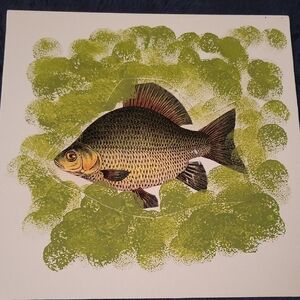 Fish Art